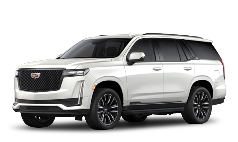 크리스탈 화이트 트리코트 익스테리어